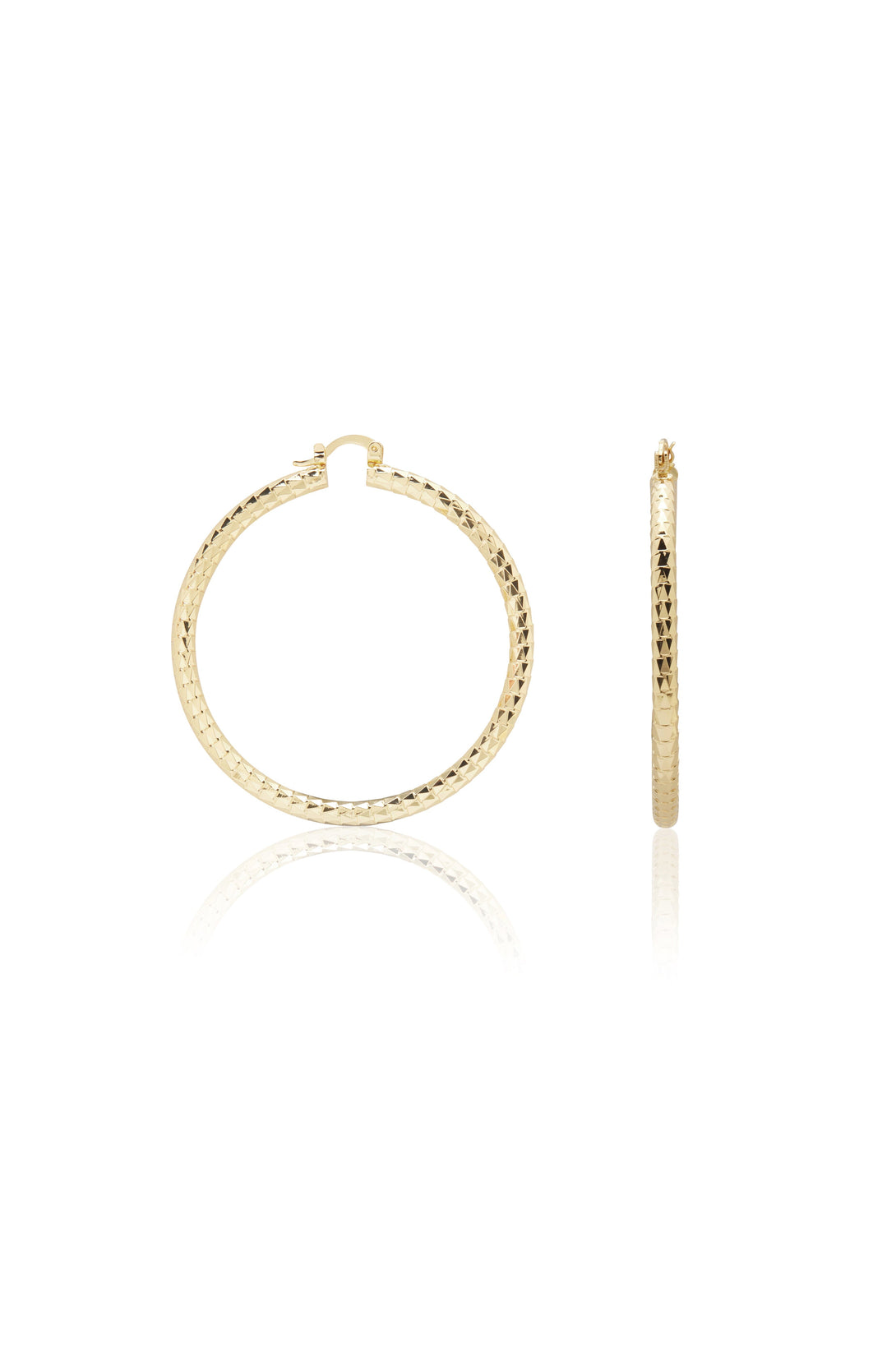 Dione Hoop Earrings Gold Earrings