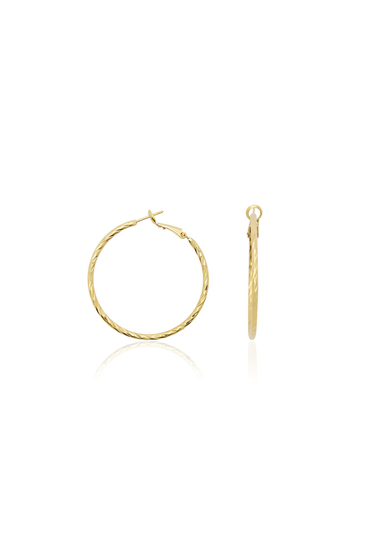 Emersyn Earrings Gold Hoop Earrings