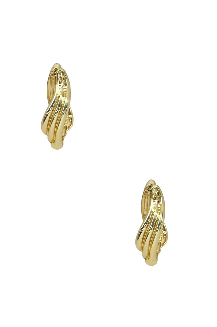 Naila Earrings Earrings