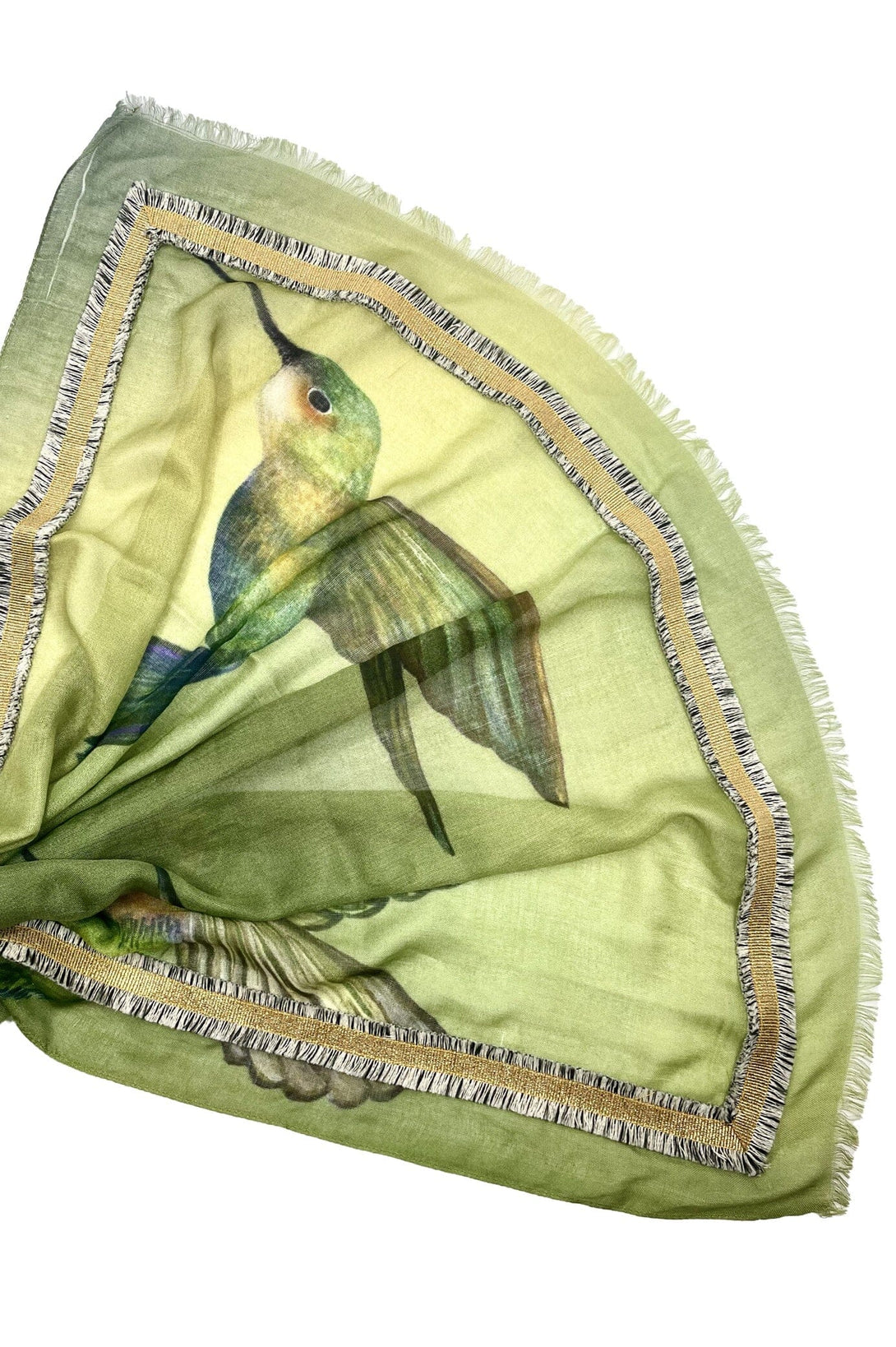 Katrin Modal Scarf Hummingbirds - Pre Order Scarves